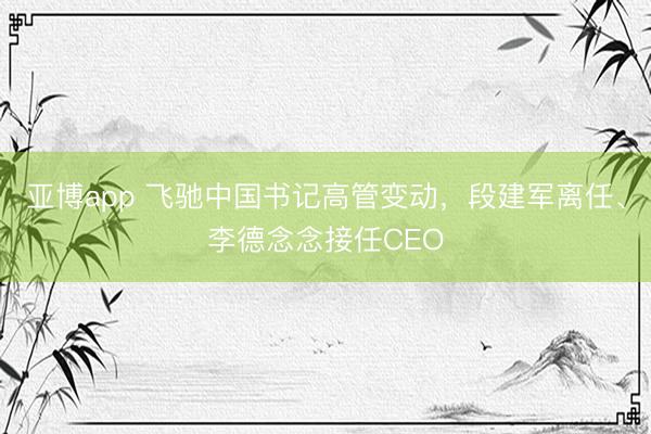 亚博app 飞驰中国书记高管变动,段建军离任、李德念念接任CEO