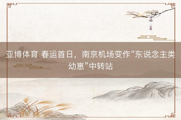 亚博体育 春运首日，南京机场变作“东说念主类幼崽”中转站