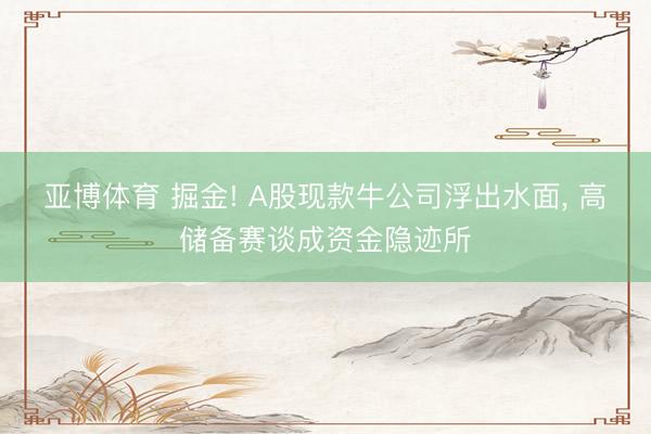 亚博体育 掘金! A股现款牛公司浮出水面， 高储备赛谈成资金隐迹所
