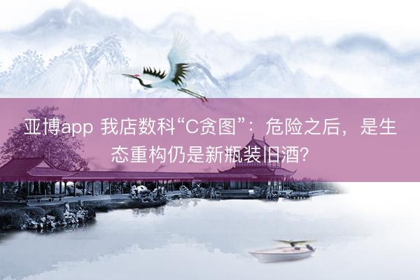 亚博app 我店数科“C贪图”：危险之后，是生态重构仍是新瓶装旧酒？