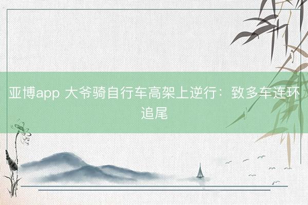 亚博app 大爷骑自行车高架上逆行：致多车连环追尾
